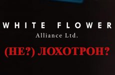 White Flower Alliance Ltd — доверительное управление или развод и кидалово?